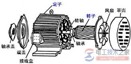 三相异步电动机烧掉的原因